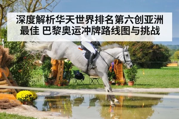 深度解析华天世界排名第六创亚洲最佳 巴黎奥运冲牌路线图与挑战