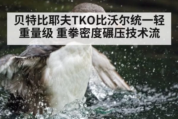 贝特比耶夫TKO比沃尔统一轻重量级 重拳密度碾压技术流