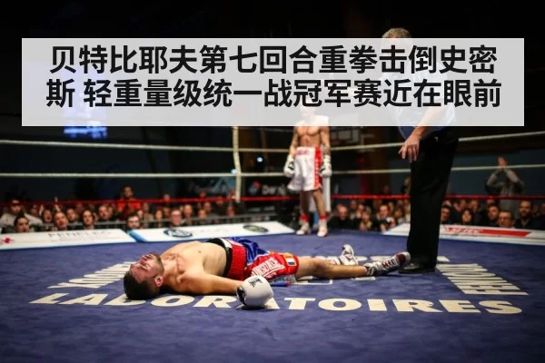 boxer knockout